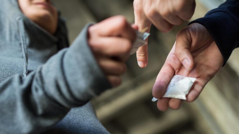 Behind Every One Arrested, There Are 10 Others: Drug Statistics in the Kurdistan Region Are Alarming