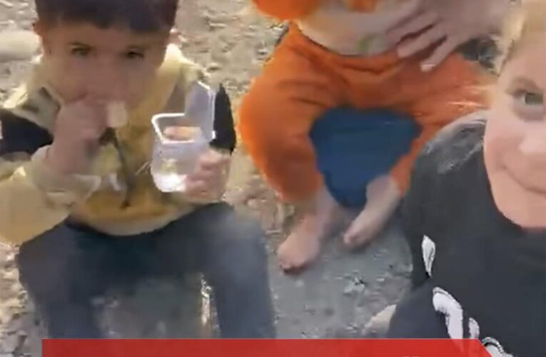 Children Subjected to the Oppression of the Barzanis